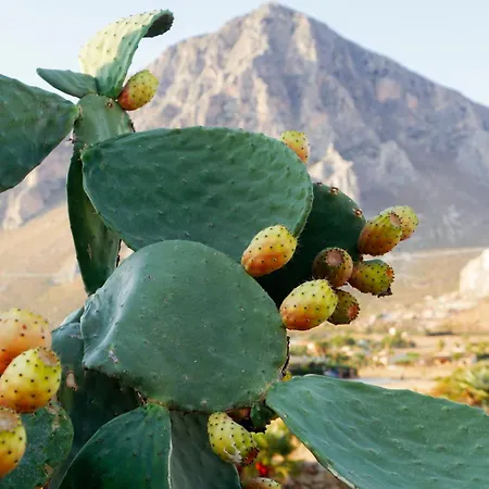 Cellini Willa Custonaci